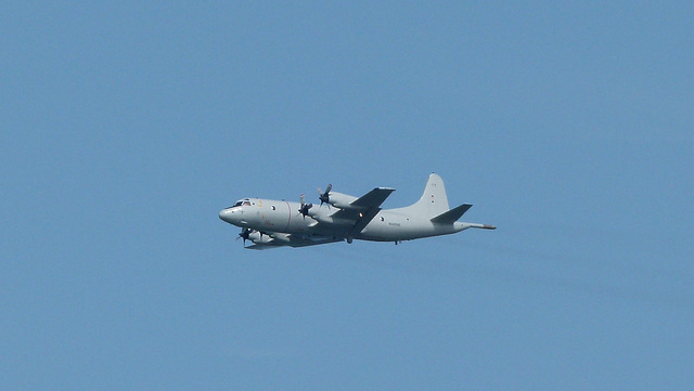 Marineflieger  P-3  Orion