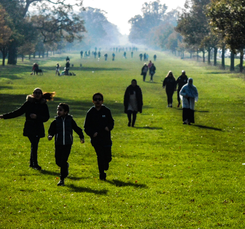 Walking in Windsor Great Park