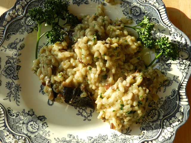 Mushroom Onion Risotto