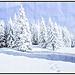 Schwarzwald