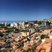 Funchal from Forte do Pico