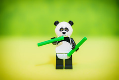 c'est bon le bambou !