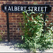 Albert Street flora
