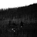 20250601_Wanderung Elbingerode-Weinbergblick und zurück