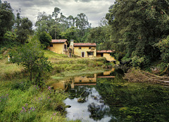 NIEMBRO ( ASTURIAS )