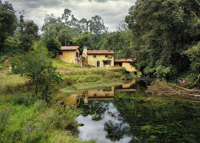 NIEMBRO ( ASTURIAS )