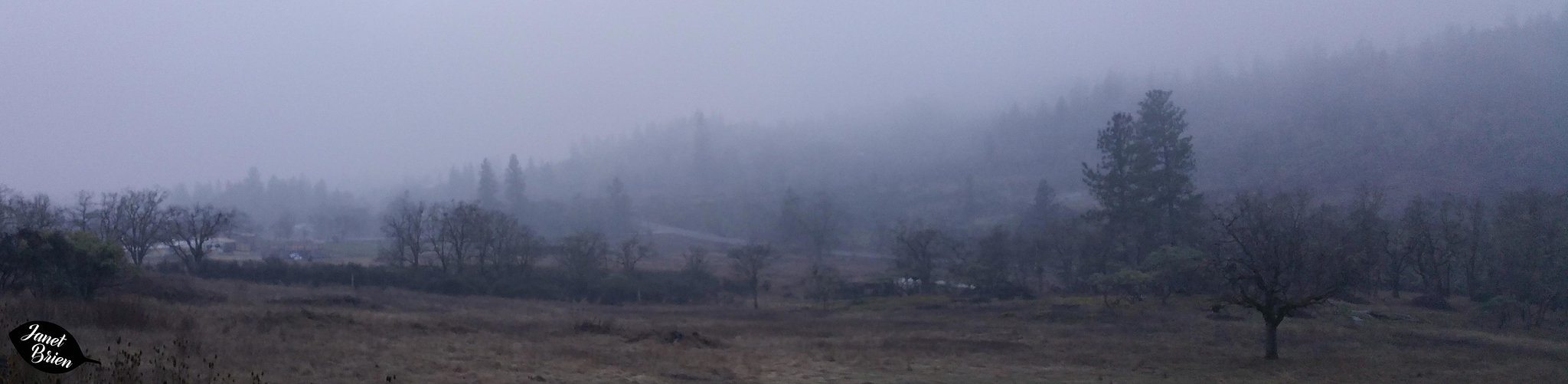 misty-day-pano-1.23.19