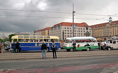 Veteranen in Dresden