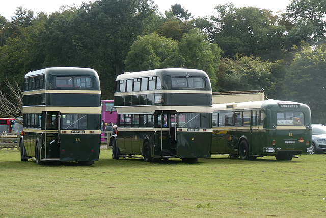 Preserved Todmorden JOC buses at Showbus - 29 Sep 2019 (P1040718)