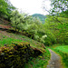 DE - Altenahr - Spaziergang im Langfigtal