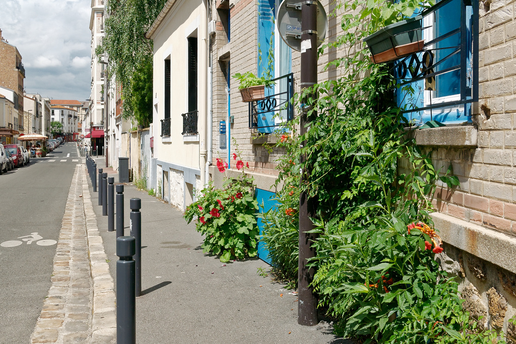 Fleurs de bitume