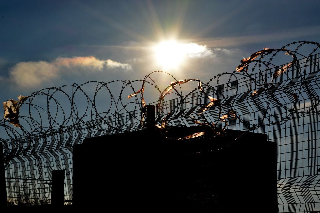 All along the long fence