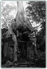 Temples d'Angkor