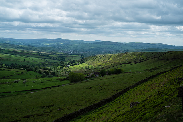 Cown Edge