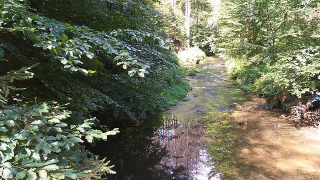 Kirnitzsch