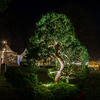 Solingen - Romantischer Weihnachtsmarkt Schloss Grünewald