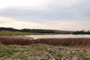 Naturschutzgebiet Lanstroper See (Dortmund-Lanstrop) / 12.03.2022