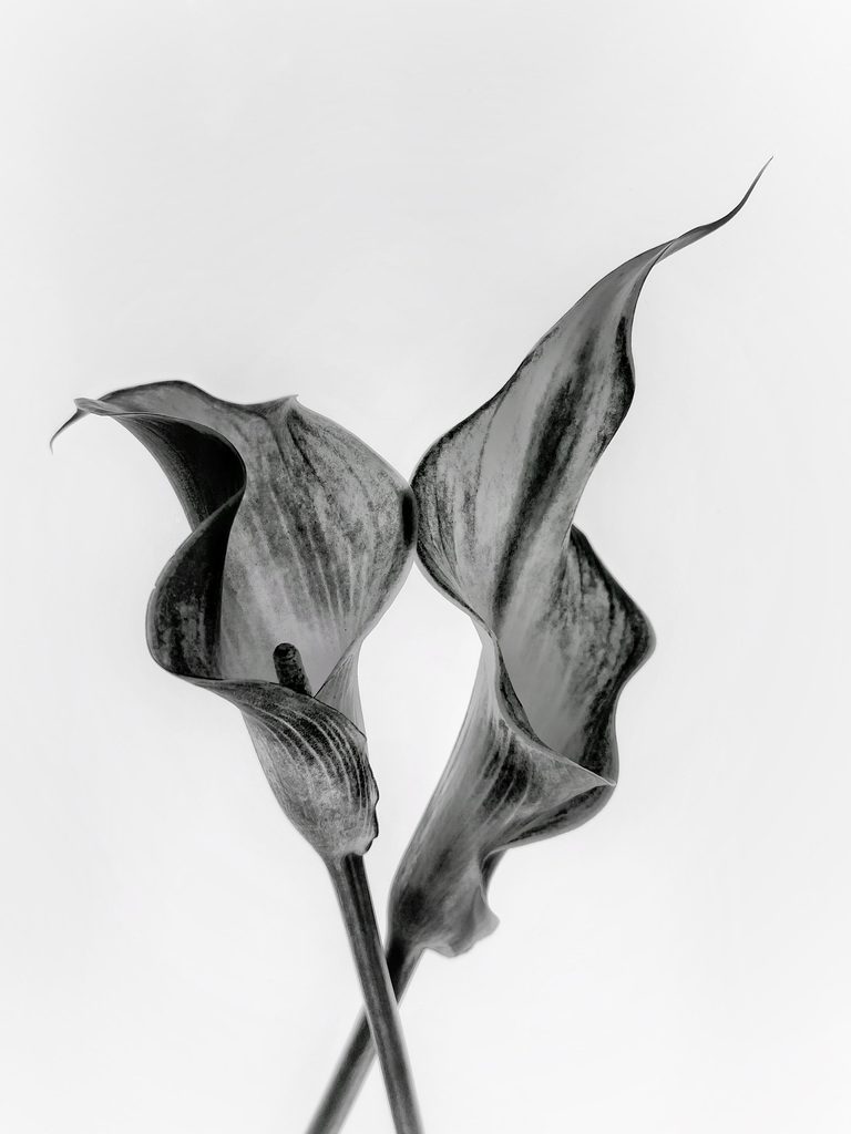 c1