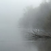 Brouillard dans l'Oise
