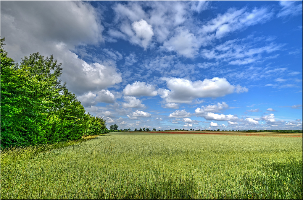 Am Bockmerholz