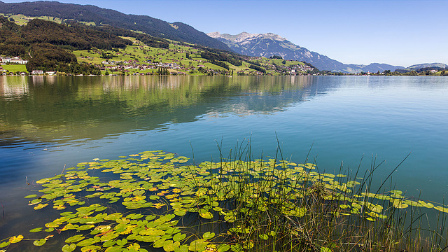 160823 Sarnersee Sachseln 5