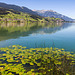 160823 Sarnersee Sachseln 5