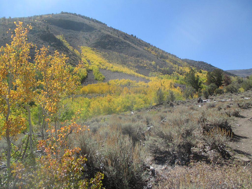 Mt-Jefferson 23