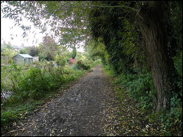 towpath near Frenchay