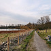 Weg am Ufer des Lanstroper Sees (Dortmund-Lanstrop) / 12.03.2022
