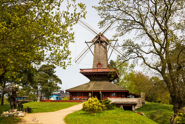 2015-04.29. - Gifhorn- Muehlenmuseum, Natascha, Ukrainischen Muehle Natascha