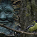 Great Tit and Green Man