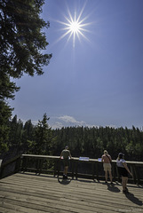 Aussichtsplattform bei den Spahats Creek Falls (© Buelipix)