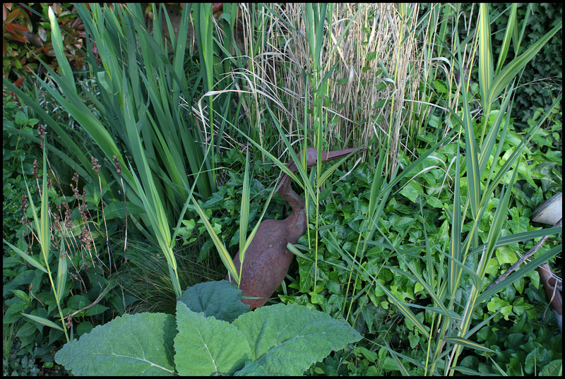 drôle d'oiseau