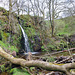 Lumb Spout, Trawden, Lancashire.