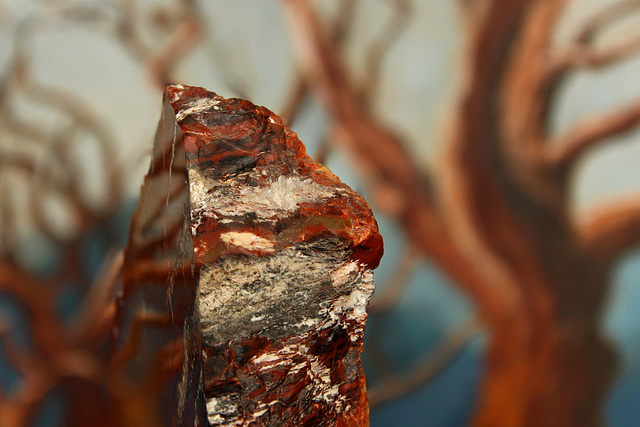 Petrified Wood