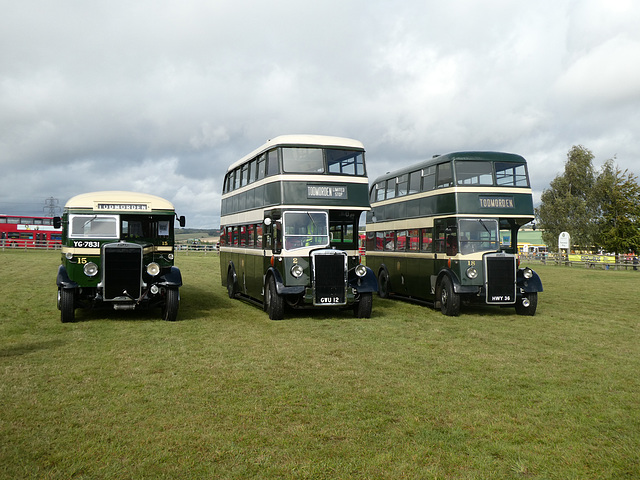 Preserved Todmorden JOC buses at Showbus - 29 Sep 2019 (P1040649)