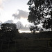 Campagne panaméenne / Panamanian countryside