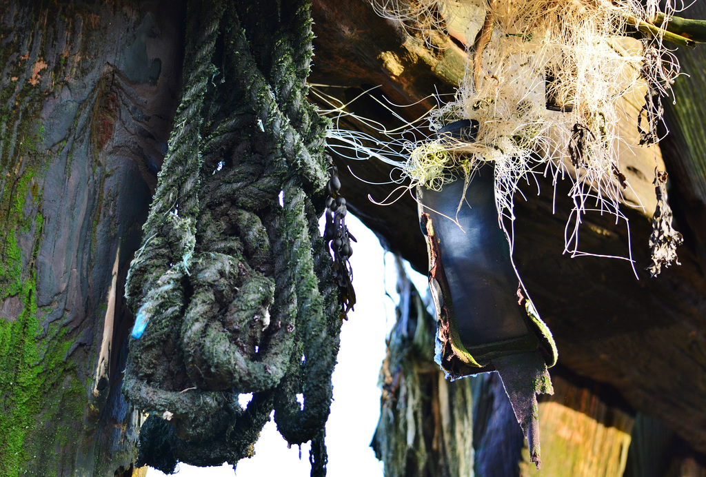 Washed up onto the staithes