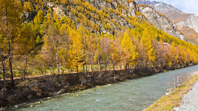 111029 Viege-Zermatt H