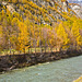 111029 Viege-Zermatt H