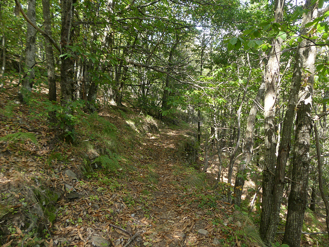 20180910 -15 Randos solo Prévenchères (Lozère-Villefort) (305) al