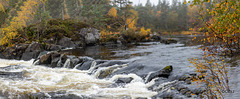 The River Affric