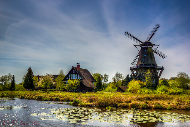 2015-04.29. - Gifhorn- Muehlenmuseum, Landidylle mit Muehle Sanssouci