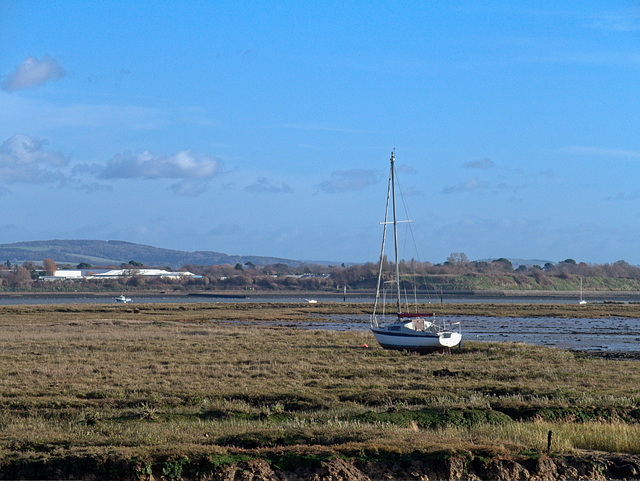 Mudflats