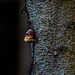 20250609_Wanderung Sorge - Benneckenstein