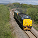 DRS class 37  No.37425 with Directors Saloon Caroline at Seamer Recycle Centre Bridge on 2Z02 York to York via Beverley,Goole & Leeds  14th May 2014