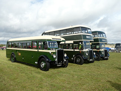 Preserved Todmorden JOC buses at Showbus - 29 Sep 2019 (P1040647)