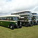 Preserved Todmorden JOC buses at Showbus - 29 Sep 2019 (P1040647)