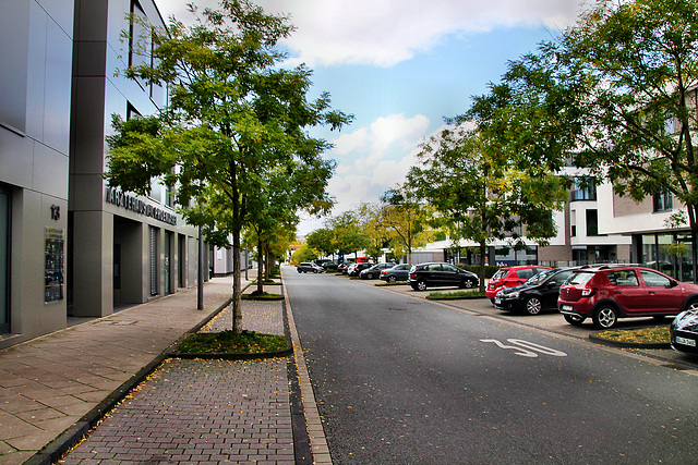 Phoenixseestraße (Dortmund-Hörde) / 21.10.2023