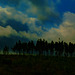20250609_Wanderung Sorge - Benneckenstein